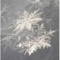 ❄️
