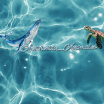 .Aesthetic.Animals.