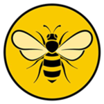 BEES :3