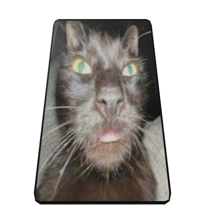Black Cat Cape Roblox item