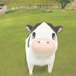 colaa1ssdasa