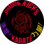 Shadow Kicks Karate!