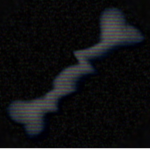 Bones Assoclation