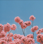 Pastel Towers