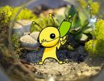 aliens terrarium