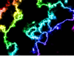 City Choppers Clan