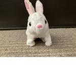 Luv da Bunny's