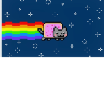 This owner loves Flying Space Cats