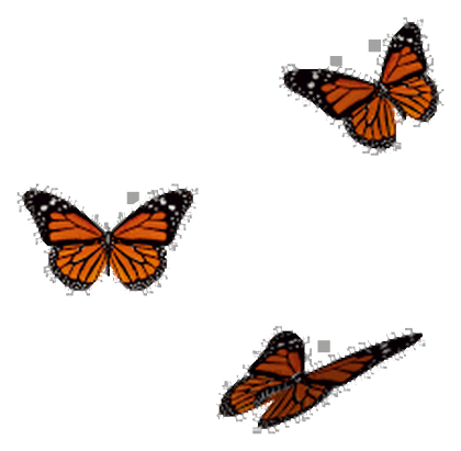 Square Two-Sided Decal