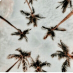 #Aesthetic Softies