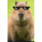 Capybara bathtub inc
