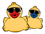 The EPIC duckz
