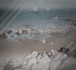 ~beachy day ranking~