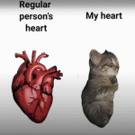 Vnillaxx