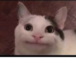 Popcat time