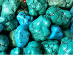 Turquoise Class