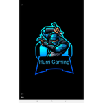 Team Hurricane (fan club)