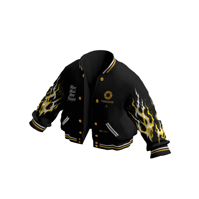 VARSITY JACKET THE ONE
