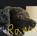 Totally Awesome Fan Group
