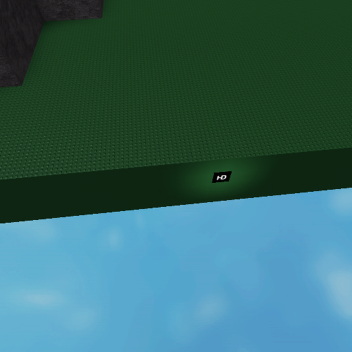 the forest!