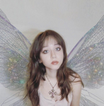 butterfly’s and bugs tour