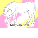 Glory Day Acres