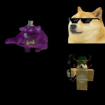 the doge team!!!