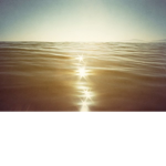 Live Love Shine