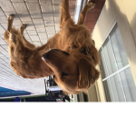 LuvMax_2