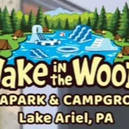 Wake in the woods