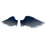 PSG Wings