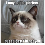 Super crazy cat