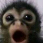 THE MONKE KING (TMK)