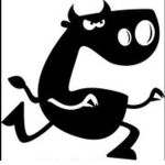 Crazy bull nation
