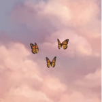 Eᴄʟɪsᴘᴇ ᴄʟᴏᴛʜɪɴɢ