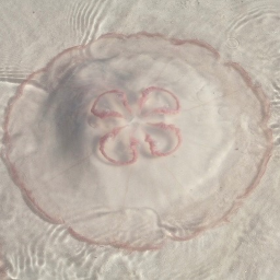 ༊*·˚