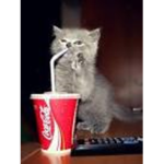 ᴀʟɪɴᴇ ʜᴀʟᴠᴇs