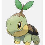 turtwig for ever
