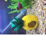 Fish warclan