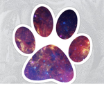 puppy center