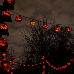 🍁🥧🎃🦇