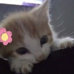 SarahNeedsTherapy's Group Group Thumbnail