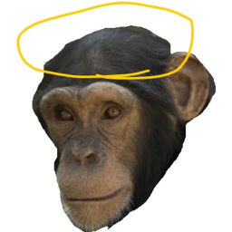 Monke Meeting