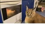 Ksjjejj
