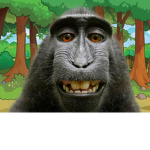 Monkie's United