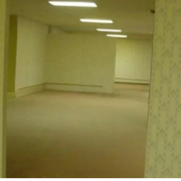 The Backrooms