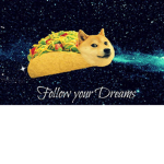 dogge the group