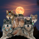 Pack of the Wind