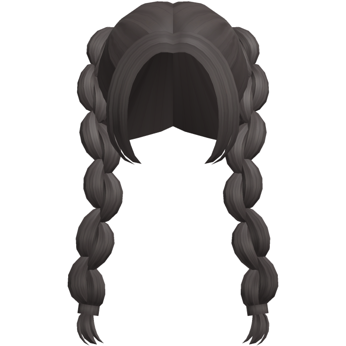 grey brown adorable picnic braids