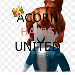 Acorns United Staff Interview Center